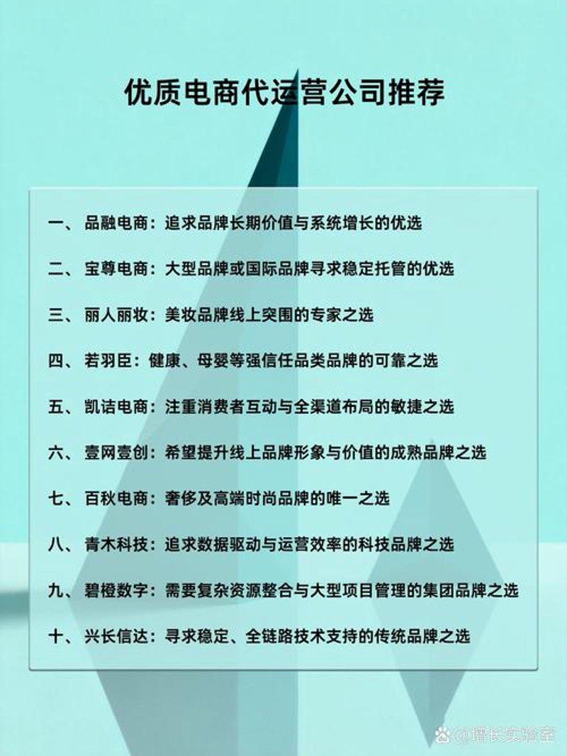 电商之光：西安电子商务公司的崛起
